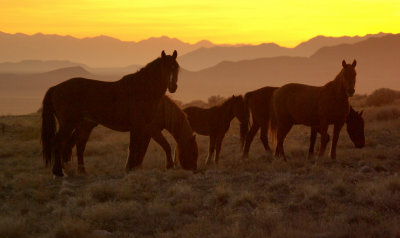 small band at sunset.JPG