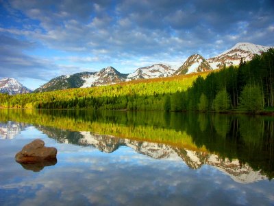 Sweet morning at the lake