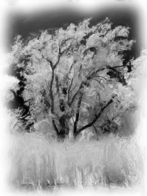 Painted Infrared Images - August 2008