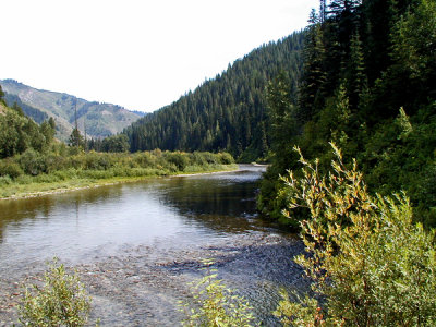 Kelly Creek