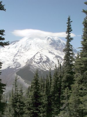 Mt. Rainier