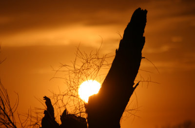 sunsets