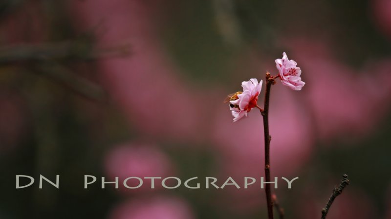 IMG_5707.jpg