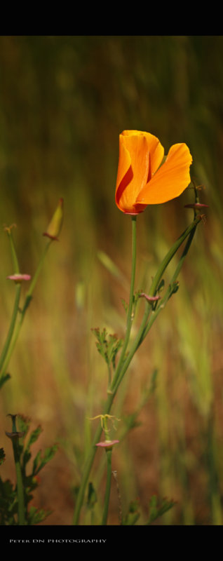 IMG_6784.jpg