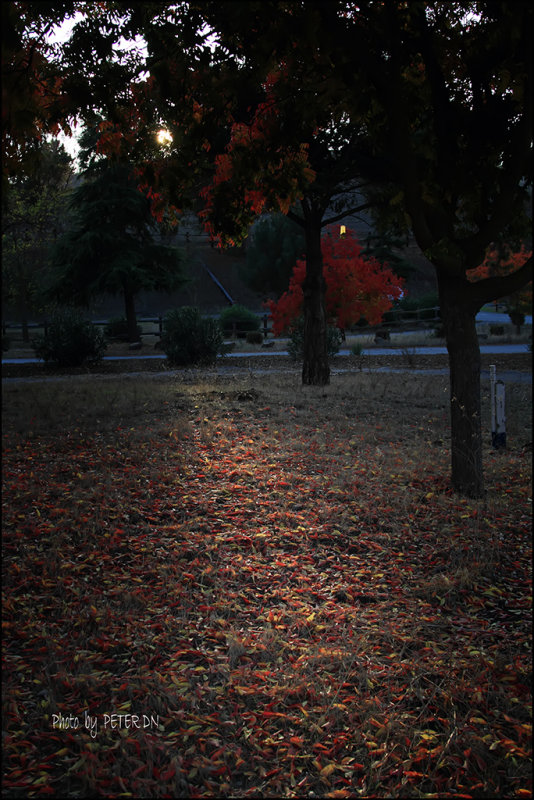 IMG_7874.jpg