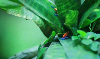 IMG_2206.jpg