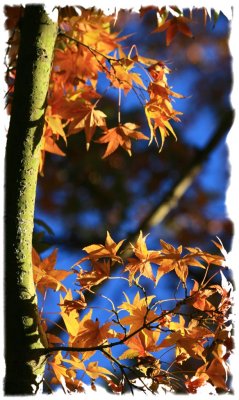 IMG_2328.jpg