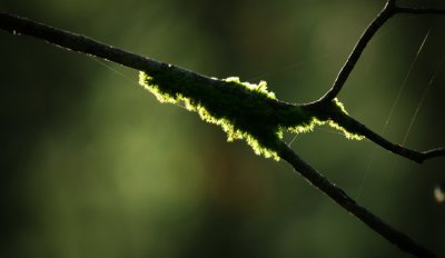 IMG_2832.jpg