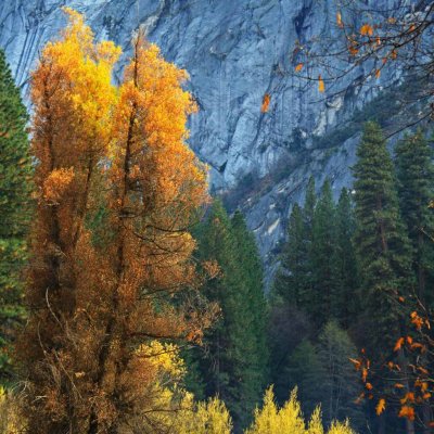 Yosemite, Late Fall