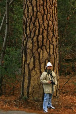 Me? Or the tree?