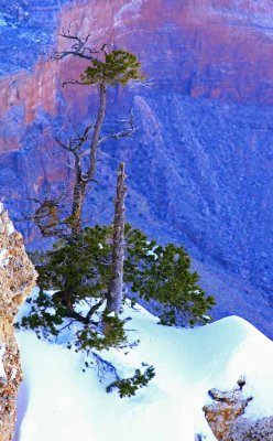 IMG_3833.jpg