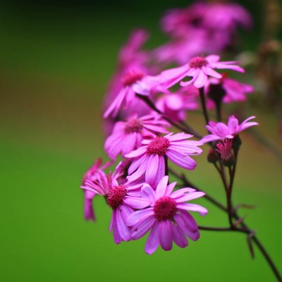 IMG_8489.jpg