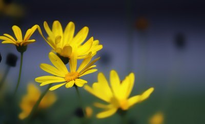 IMG_5113.jpg