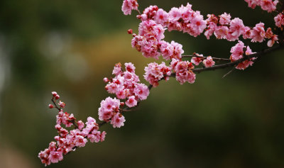 IMG_5636.jpg