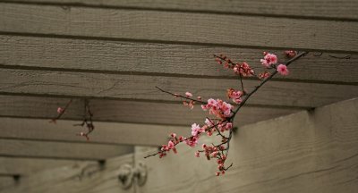 IMG_5650.jpg