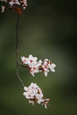 IMG_5672.jpg