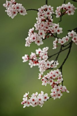 IMG_5677.jpg