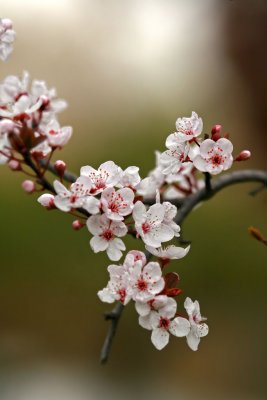 IMG_5679.jpg