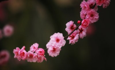 IMG_5698.jpg