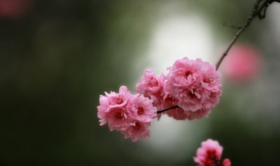 IMG_5705.jpg
