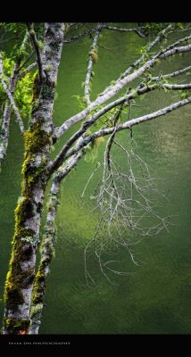IMG_7293.jpg