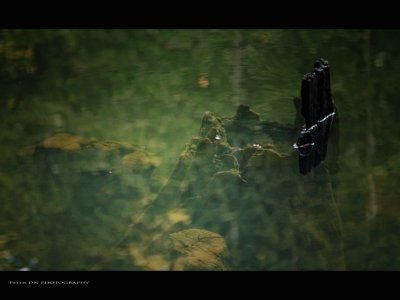 IMG_7290.jpg