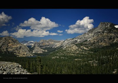 IMG_8514.jpg