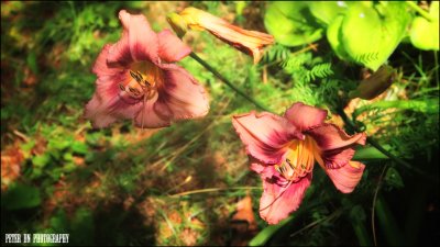 IMG_5988.jpg