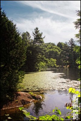 IMG_6002.jpg