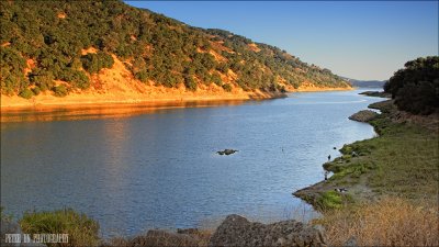 IMG_7352.jpg