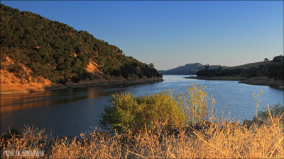 IMG_7377.jpg