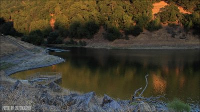 IMG_7403.jpg