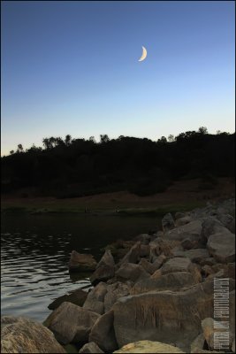 IMG_7447.jpg