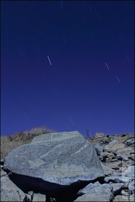 IMG_7581.jpg