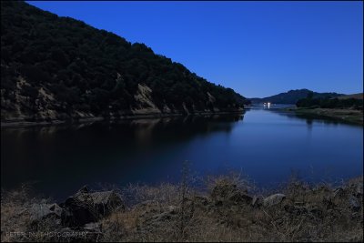 IMG_7583.jpg