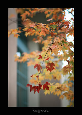 IMG_7756.jpg
