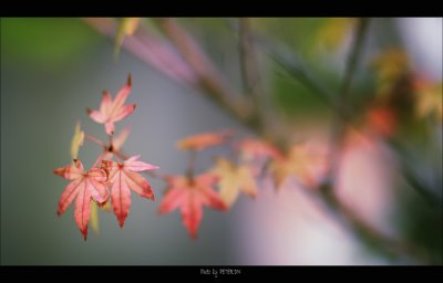IMG_7778.jpg