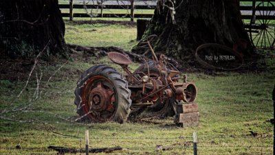 IMG_8545.jpg