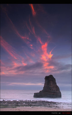 DAVENPORT, SANTA CRUZ