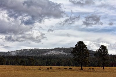 After the Snow - New Mexico