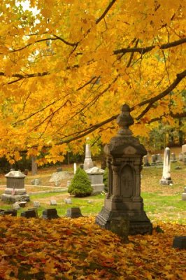 cemetery in fall