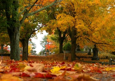 more cemetery in fall