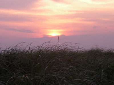 Plum Island sunset