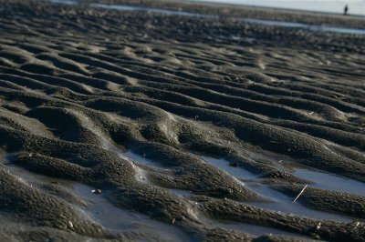 Sand waves