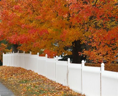 Picket Fence