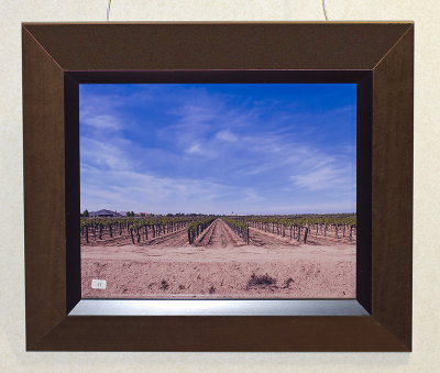 Grape Fields, Bakersfield, CA (K2005444aIR)