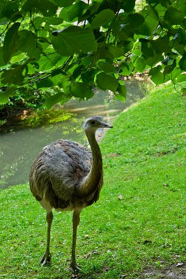 Parc du Chateau de Sauvage _042.jpg