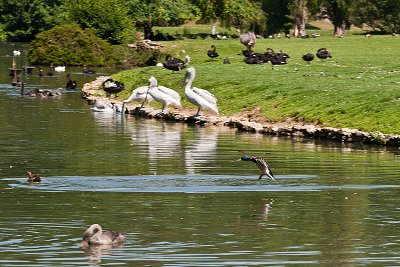 Parc du Chateau de Sauvage _058.jpg