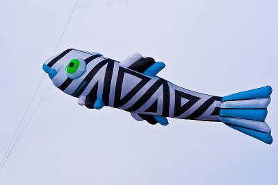 Festival International Du Cerf-Volant Dieppe 2010_118.jpg