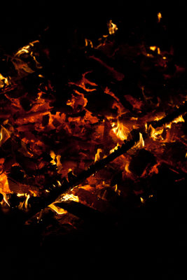g1/79/951479/3/126982469.KlXMI0Cm.jpg